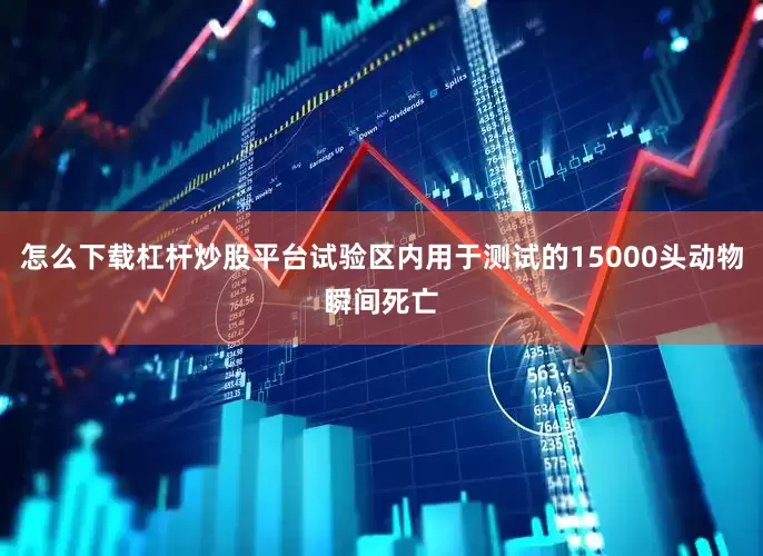 怎么下载杠杆炒股平台试验区内用于测试的15000头动物瞬间死亡